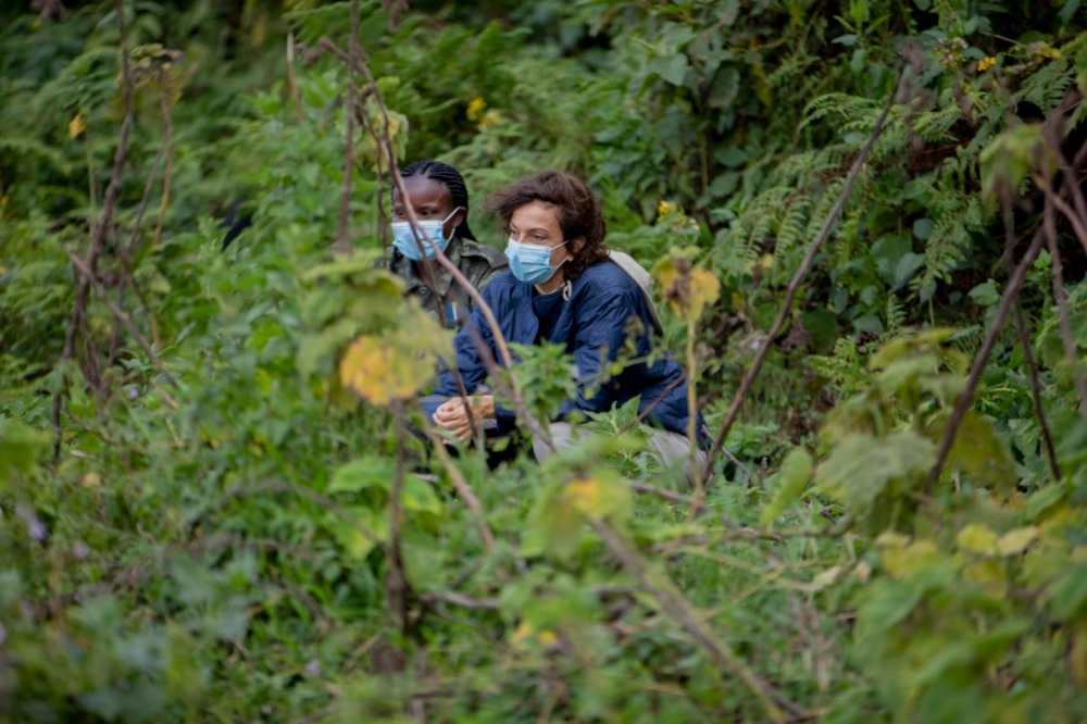 Azoula during gorilla trekking.