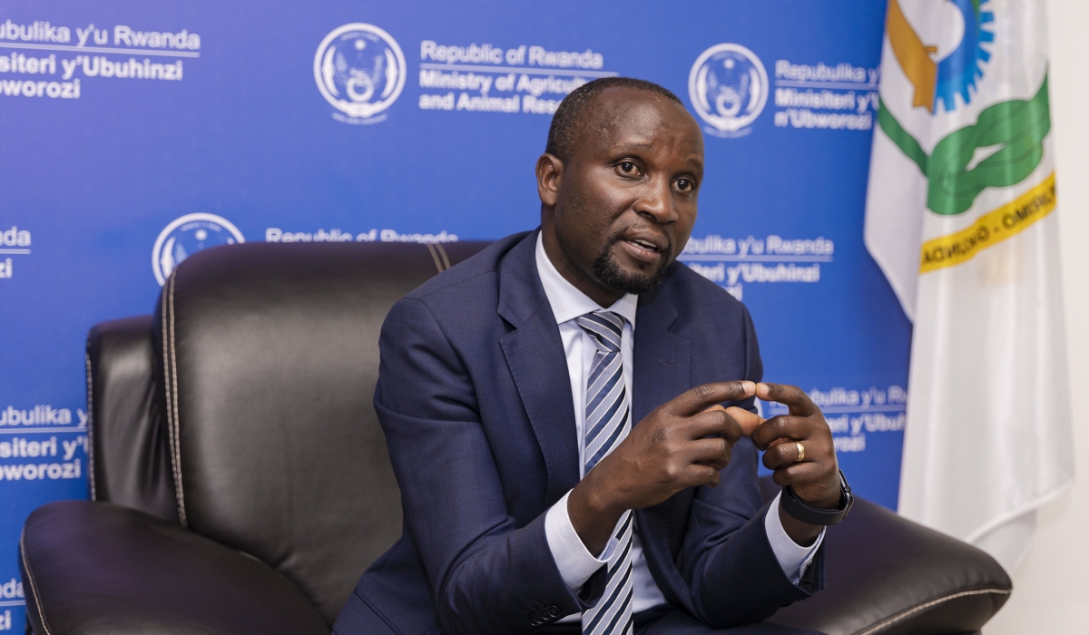 Ildephonse Musafiri, the Minister of Agriculture and Animal Resources during an interview on August 29, 2023 . Photo by Christianne Murengerantwari