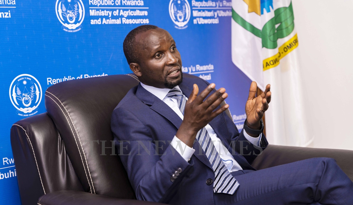 Agriculture and Animal Resources Minister Ildephonse Musafiri during the interview on August 29. Photos by Christianne Murengerantwari