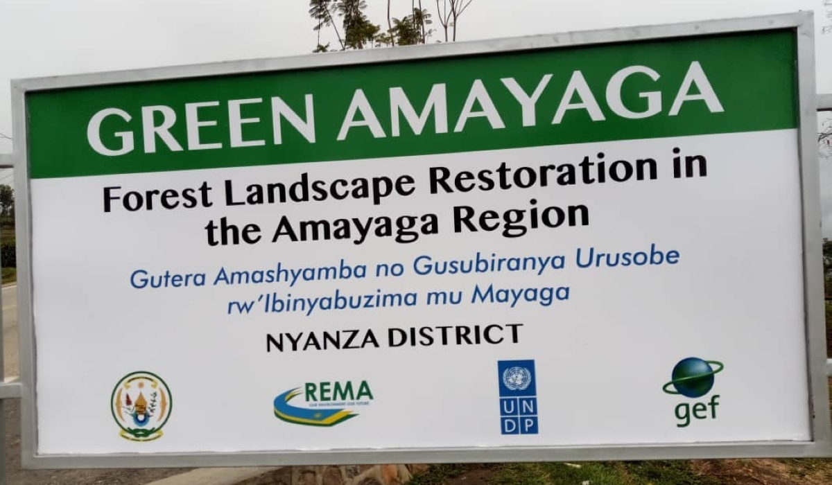 The Green Amayaga project seeks to enhance the restoration of the degraded forests in the area, encompassing over 550 hectares. Courtesy