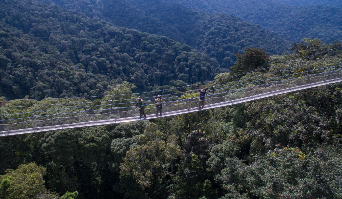 One of the prominent touristic offerings in Nyungwe National Park is the canopy walk. Courtesy
