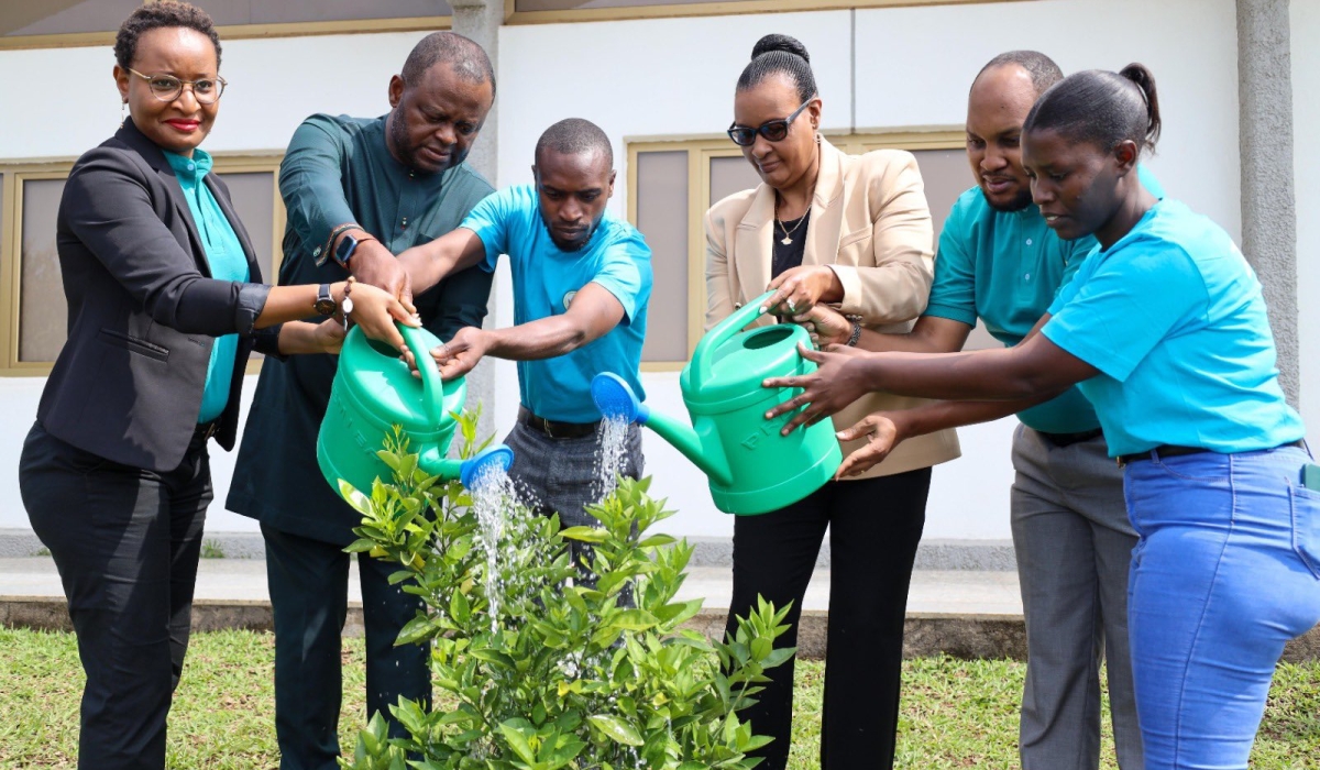 Officials and youth representatives water a tree that was planted last year as a symbol of peace at the Parliament Building, during the celebration of  the International Day of Peace on Thursday, September 21. Courtesy