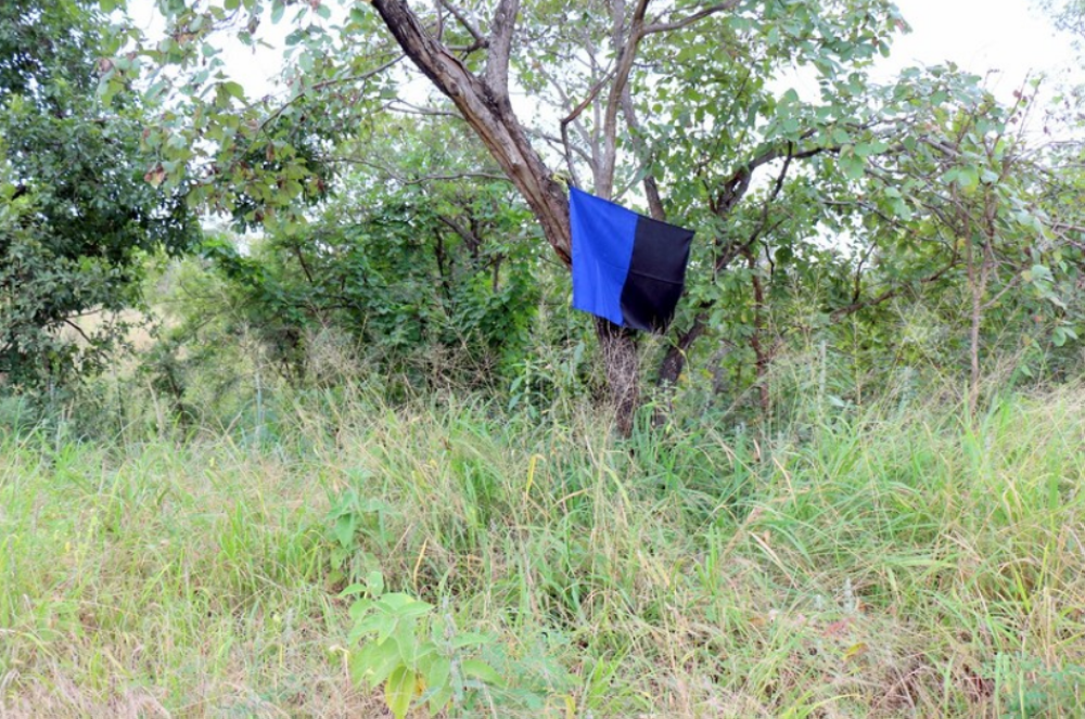 Bush clearing in farmlands and installing tsetse screen traps are among the solutions to fighting tsetse flies in the area.