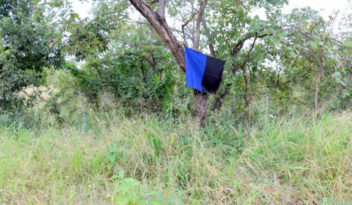 Bush clearing in farmlands and installing tsetse screen traps are among the solutions to fighting tsetse flies in the area.