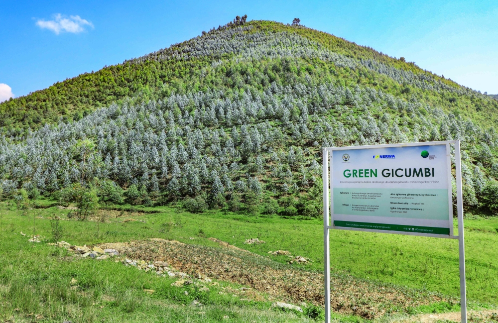 A view of the newly restored forest in Gicumbi District through a project dubbed &#039;Green Gicumbi&#039;. Rwanda is set to launch a carbon market framework at the 28th UN Climate Conference (COP28) in December this year. File