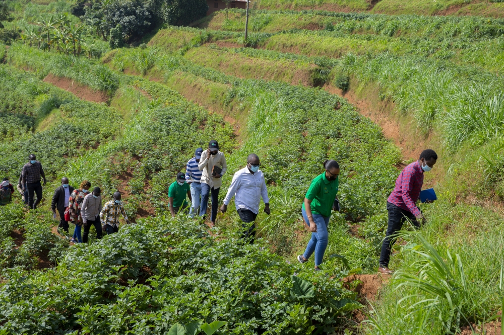 Farmers from different districts tour radical terraces that were arranged at Green Gicumbi poject. Courtesy