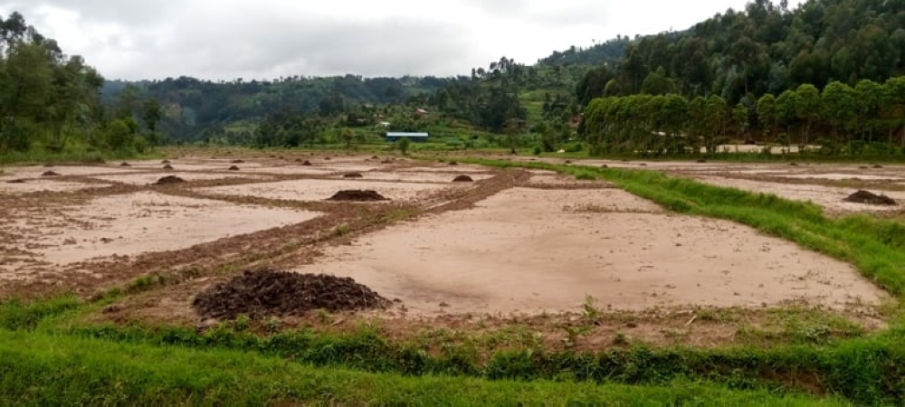 The flooding was worsened by the lack of terraces to control soil erosion. It devastated crops, fishing ponds, and silk farming projects in the wetlands. COURTESY 
