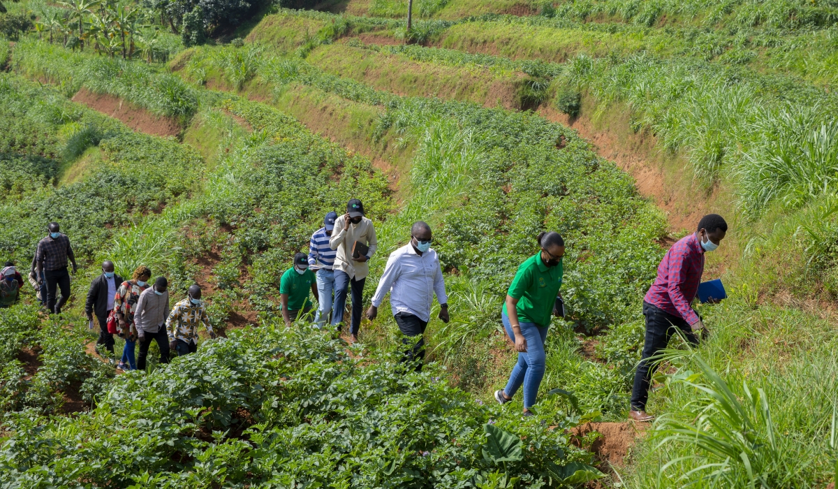 Farmers from different districts tour radical terraces that were arranged at Green Gicumbi poject. Courtesy