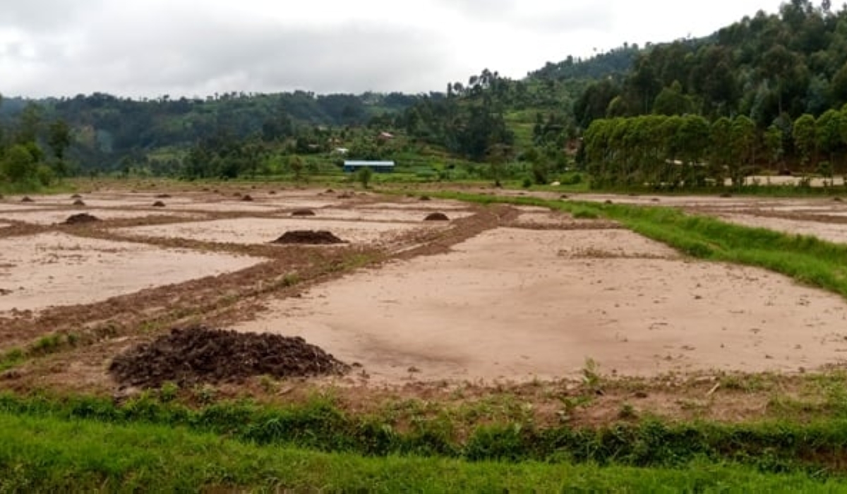 The flooding was worsened by the lack of terraces to control soil erosion. It devastated crops, fishing ponds, and silk farming projects in the wetlands. COURTESY 