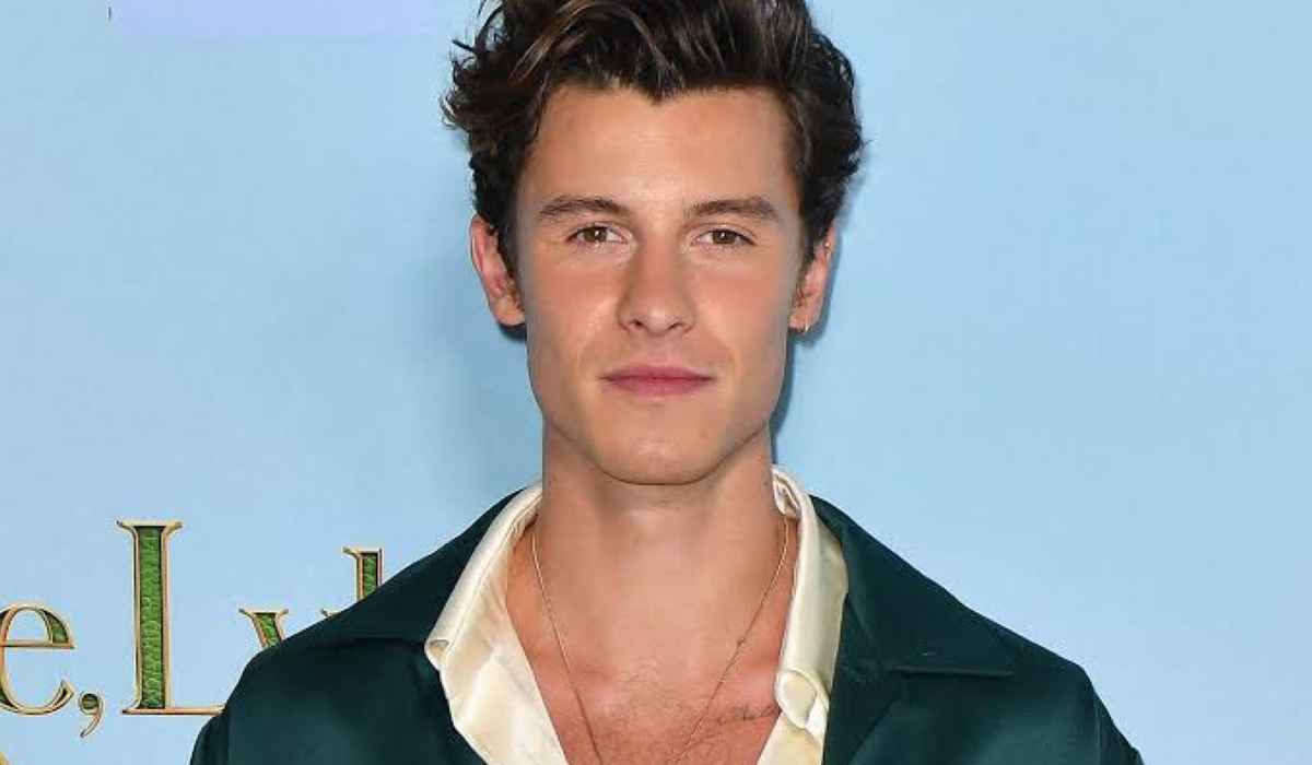 Canadian singer-songwiter Shawn Mendes. Net photo