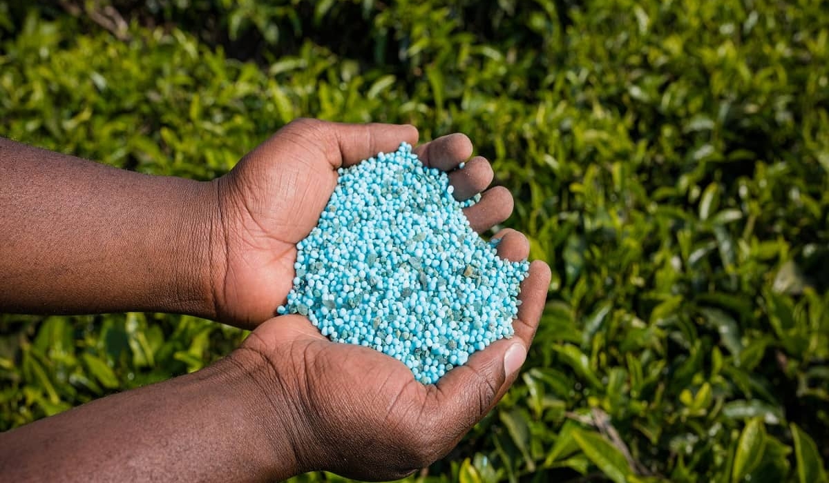 Rwanda National Police in Eastern Province have foiled major theft operations involving over 1,000 tonnes of seeds and fertilisers. Photo: Courtesy.