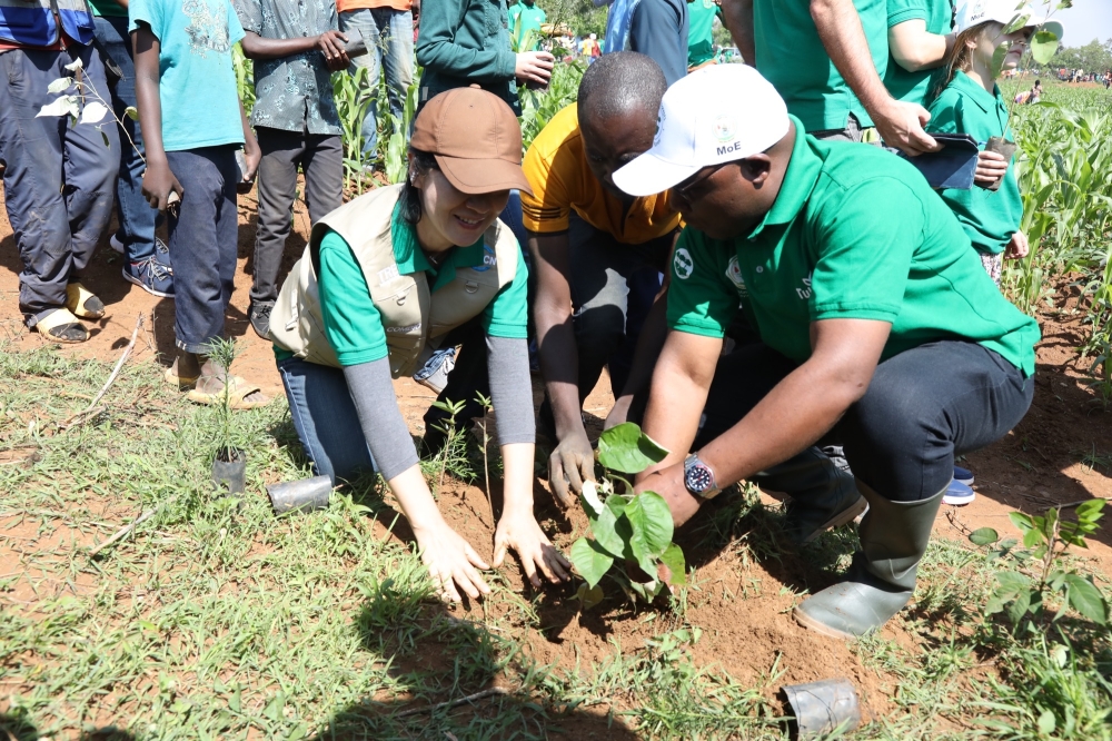 The Minister of Local Government, Jean Claude Musabyimana (R), and the Rwanda Country Representative for International Union Conservation of Nature – IUCN, Kaori Yasuda, plant a tree in Bugesera District, on October 28, 2023, during the launch of the 2023-2024 national tree planting season. COURTESY