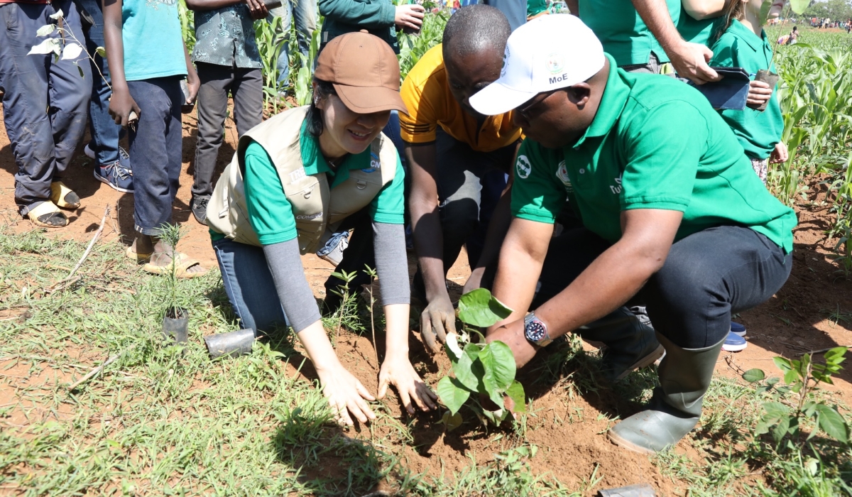 The Minister of Local Government, Jean Claude Musabyimana (R), and the Rwanda Country Representative for International Union Conservation of Nature – IUCN, Kaori Yasuda, plant a tree in Bugesera District, on October 28, 2023, during the launch of the 2023-2024 national tree planting season. COURTESY