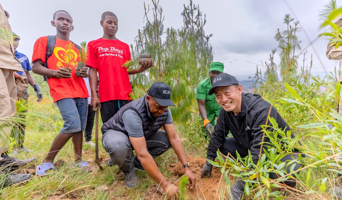 Chinese Ambassador to Rwanda Wang Xuekun (R) during a tree planting exercise at Masaka in Kicukiro on Saturday, November 11. PHOTOS BY CRAISH BAHIZI