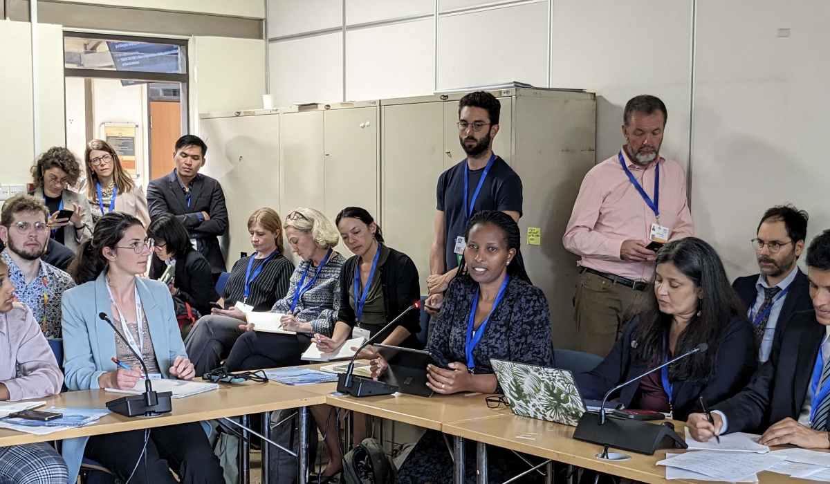 Director General of Rwanda Environment Management Authority (REMA)  Juliet Kabera, speaking on a panel on mobilising resources to end plastic pollution. Courtesy (2)