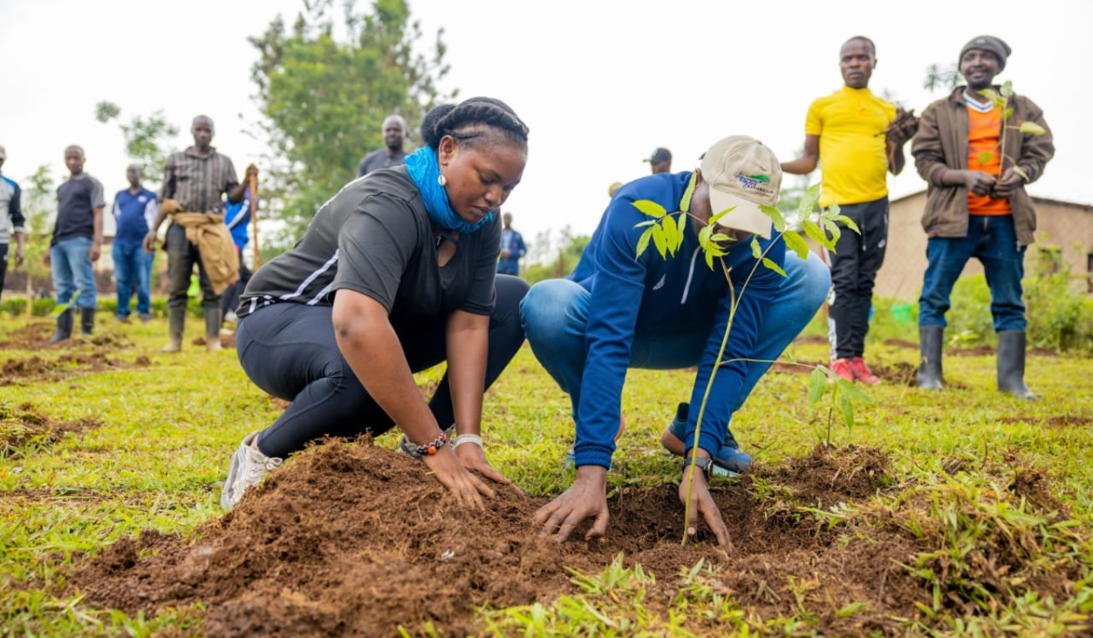 Minister of Health Dr Sabin Nsanzimana plants a tree during the Umuganda on Saturday, November 26.