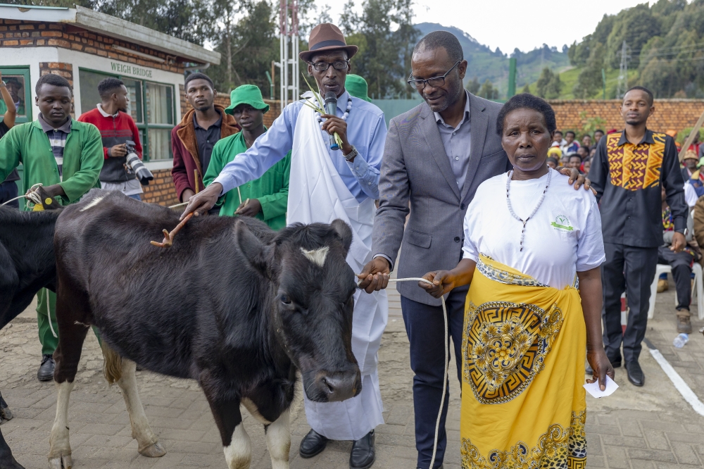 A tea farmer receives her cows as Rwanda Mountain Tea Ltd (RMT) observes Farmers&#039; Day   by acknowledging  tea farmers across its eight factories for their role in the nation&#039;s progress. Courtesy 