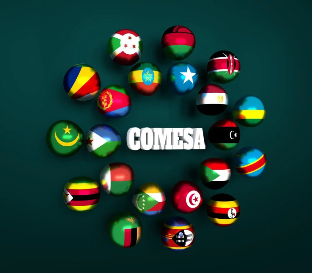 Through COMESA, 21 African countries can easily trade among themselves free of customs duties.