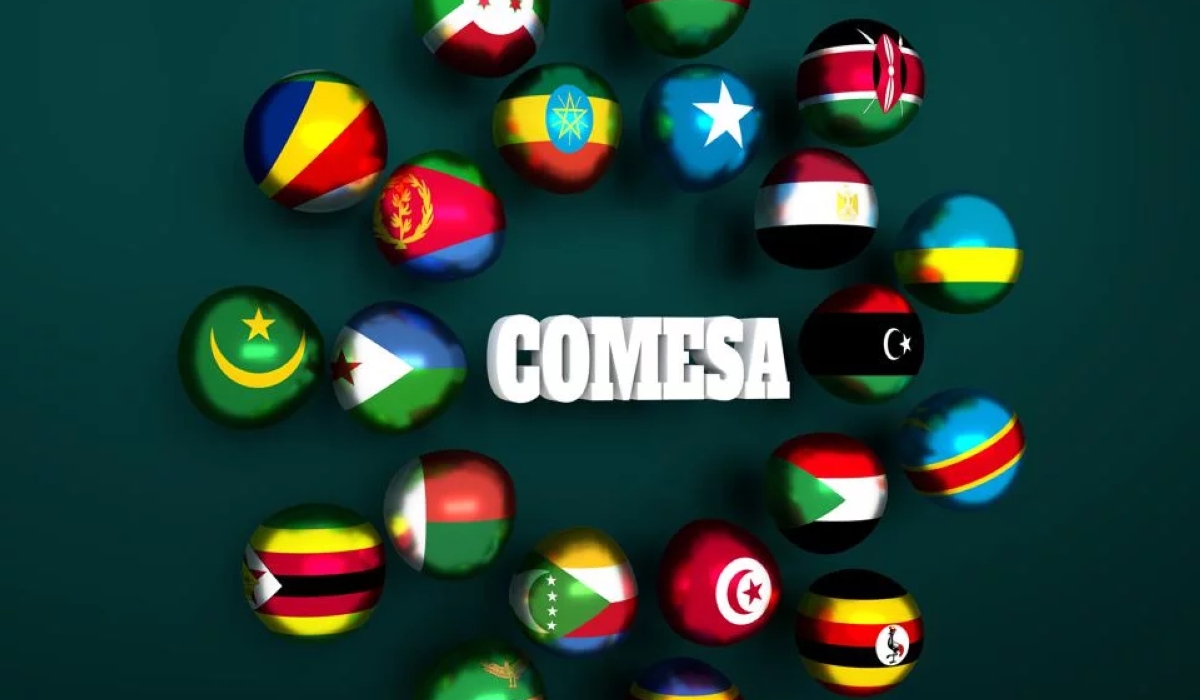 Through COMESA, 21 African countries can easily trade among themselves free of customs duties.