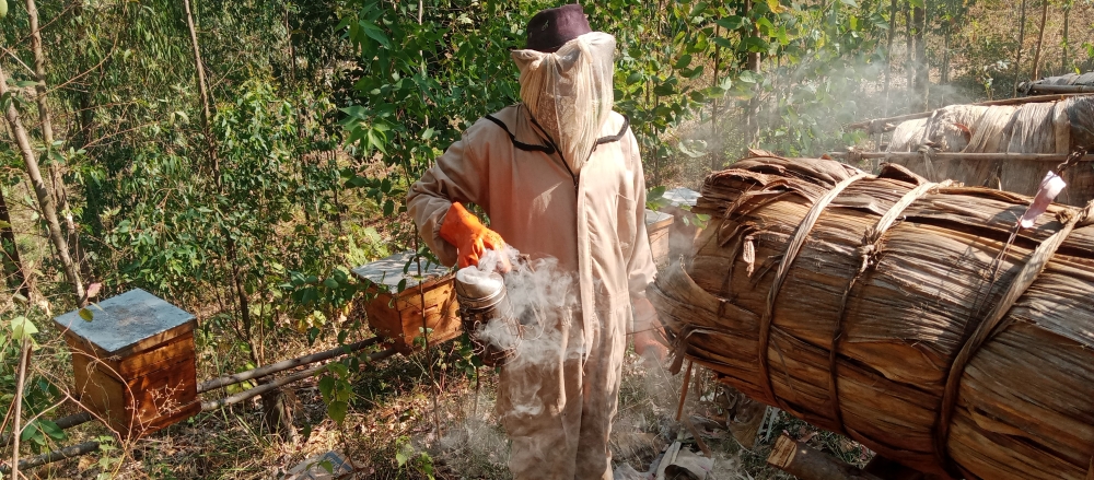Beekeepers have been encouraged to transition from traditional beekeeping techniques to modern practices  in Kayonza district. Photos by  Emmanuel Nkangura