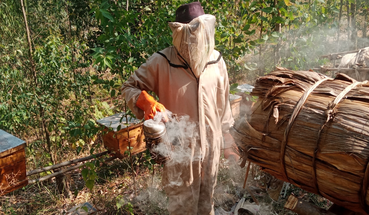 Beekeepers have been encouraged to transition from traditional beekeeping techniques to modern practices  in Kayonza district. Photos by  Emmanuel Nkangura