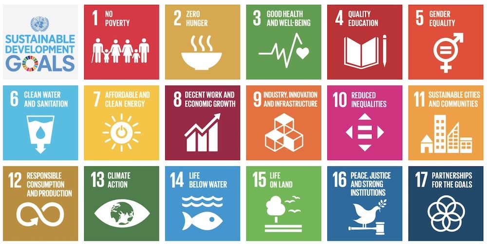 Globally, all countries have promised to fix all the world’s big issues by 2030, through the so-called Sustainable Development Goals.