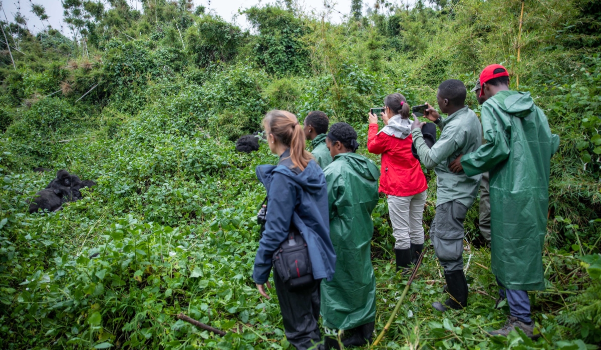 Rwanda&#039;s economy is based mainly on agriculture and tourism. However, recently the necessary steps have been taken for a serious industrial development move. Estimated GDP per capita in 2024 is $1, 064. File