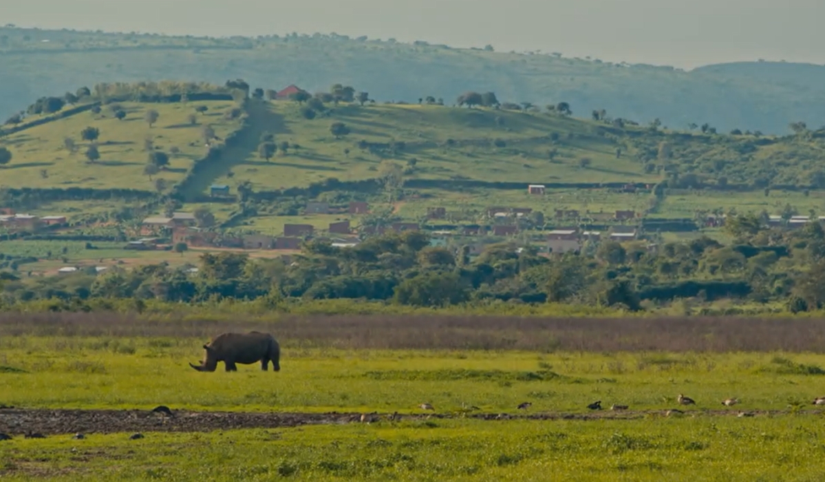 RDB and Akagera National Park are looking into the feasibility of engaging communities to establish private nature reserves. Courtesy photos