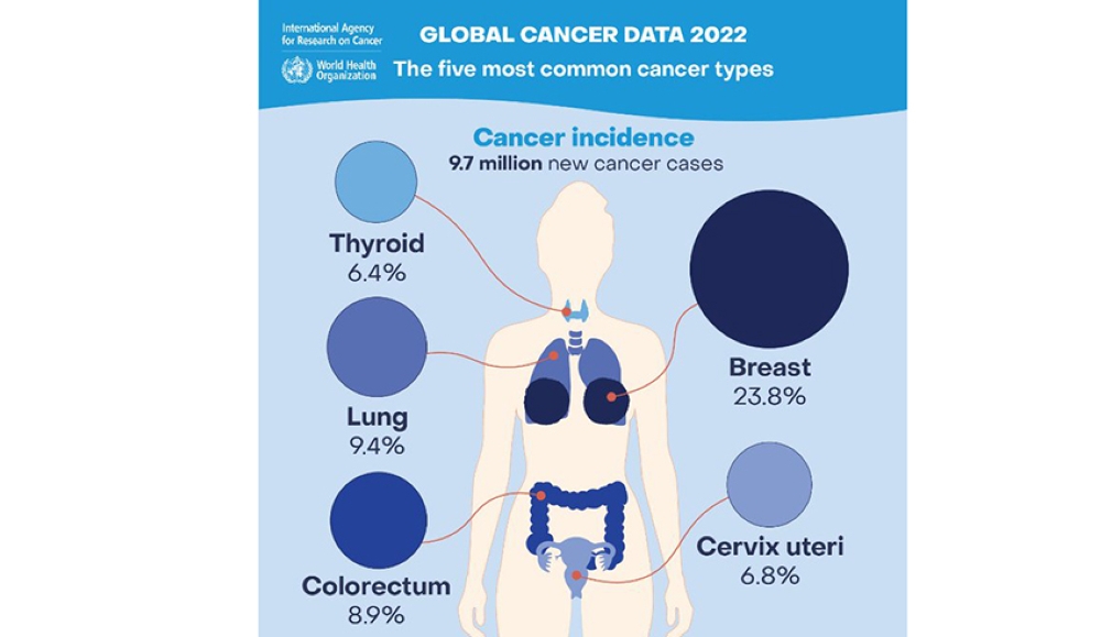 By 2050, cancer cases are projected to be 77% higher than they were in 2022.