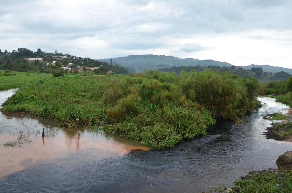 A view of Rugezi Wetland in Burera District. The wetland stands as Rwanda&#039;s sole Ramsar site. Photo by Samuel Ngendahimana