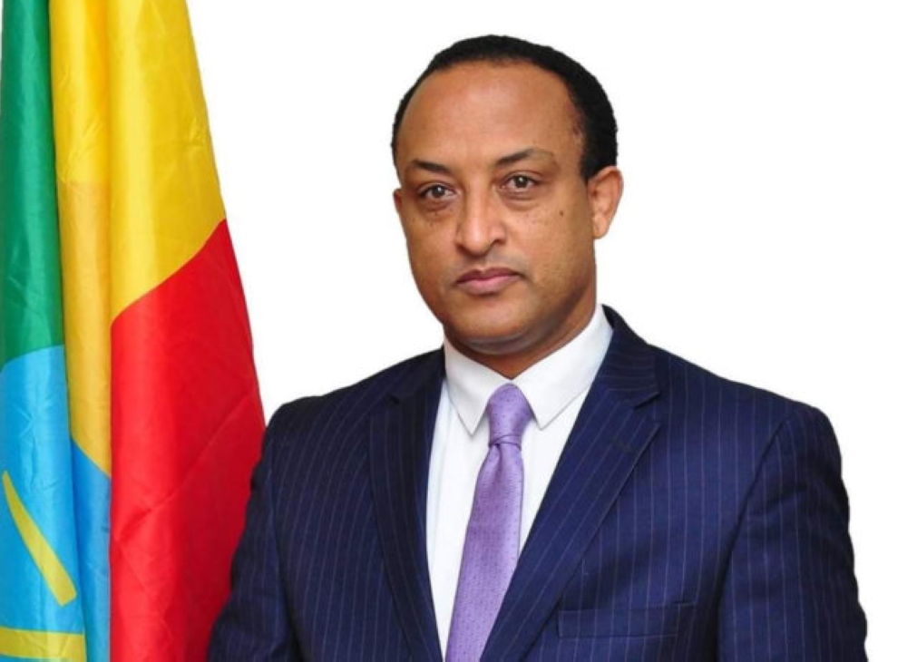 Meles Alem, spokesperson for the Ministry of Foreign Affairs of Ethiopia 