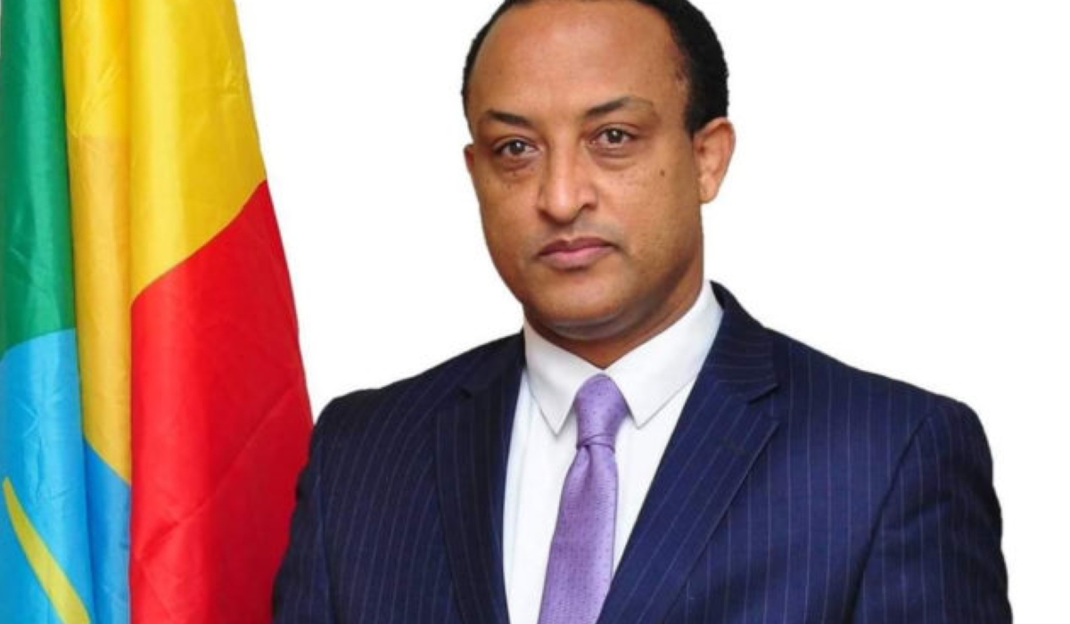 Meles Alem, spokesperson for the Ministry of Foreign Affairs of Ethiopia 