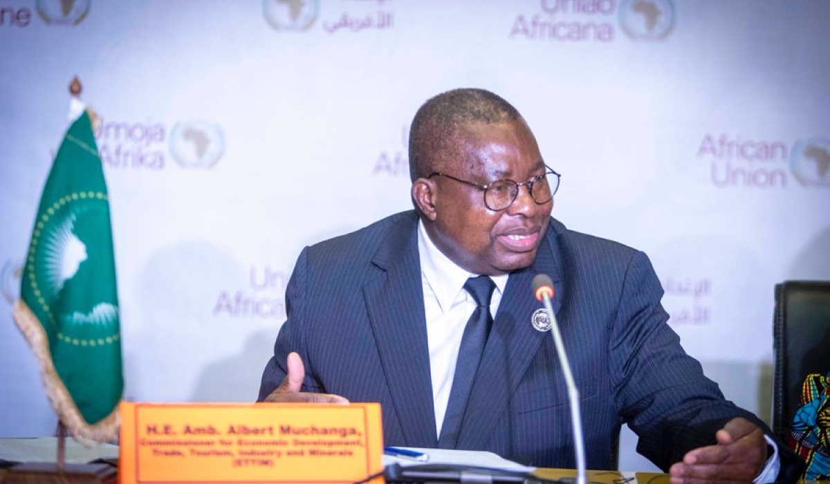 Albert Muchanga, the AU commissioner for Economic Development, Trade, Tourism, Industry and Minerals delivers his remarks during the AU summit.