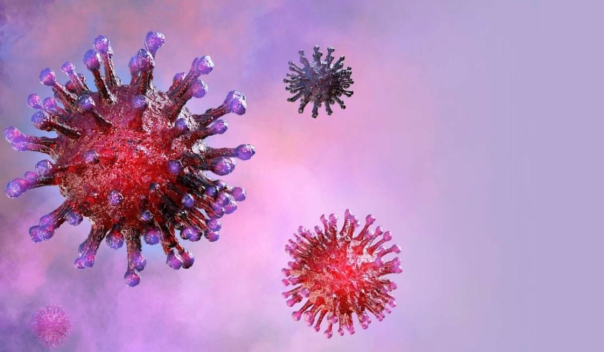 Immunocompromised people are at risk of developing serious or life-threatening fungal diseases. Africa accounts for 67 percent of the global burden of HIV, and opportunistic fungal diseases are on the rise. PHOTO _ SHUTTERSTOCK
