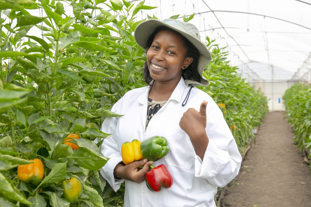 The official launch of the Africa Food Systems Annual Summit 2024, at the Kigali Convention Center (KCC)  on March 26. Courtesy