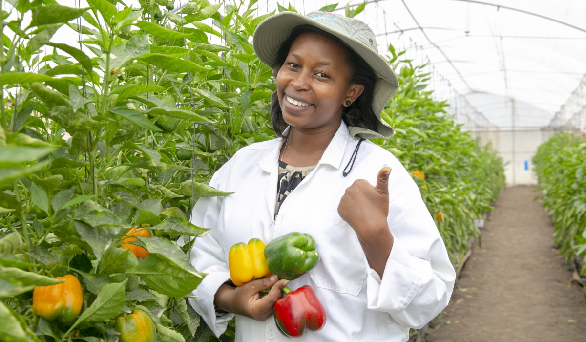 The official launch of the Africa Food Systems Annual Summit 2024, at the Kigali Convention Center (KCC)  on March 26. Courtesy