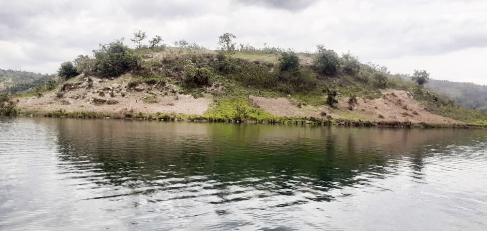 Two Lake Kivu islands, Shyute and Kamiko that were once deforested and degraded will soon be restored with 156,000 different tree species