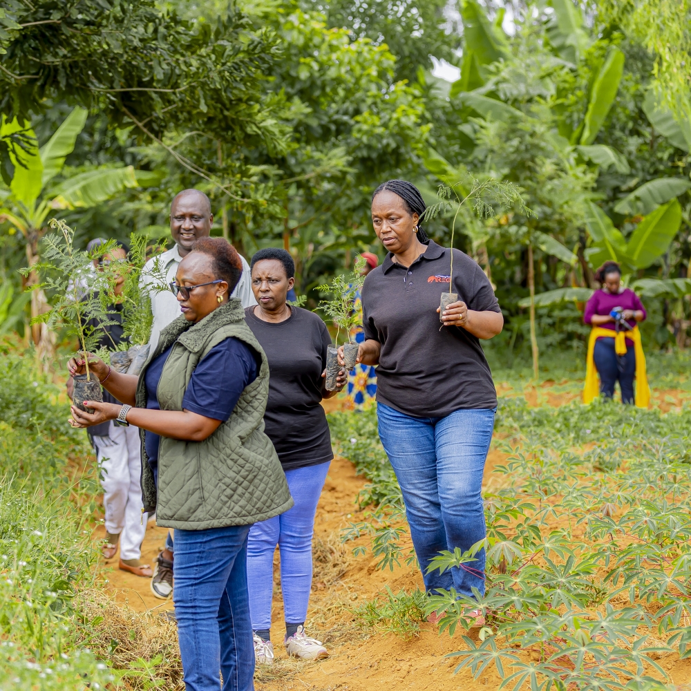 Women cadres and veterans of the liberation struggle of Rwanda during a tree planting activity to combat desertification in Bugesera District in Eastern Province. Courtesy