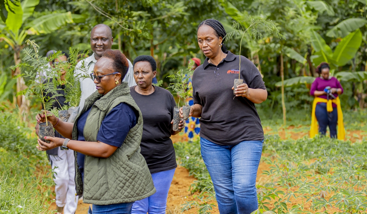Women cadres and veterans of the liberation struggle of Rwanda during a tree planting activity to combat desertification in Bugesera District in Eastern Province. Courtesy