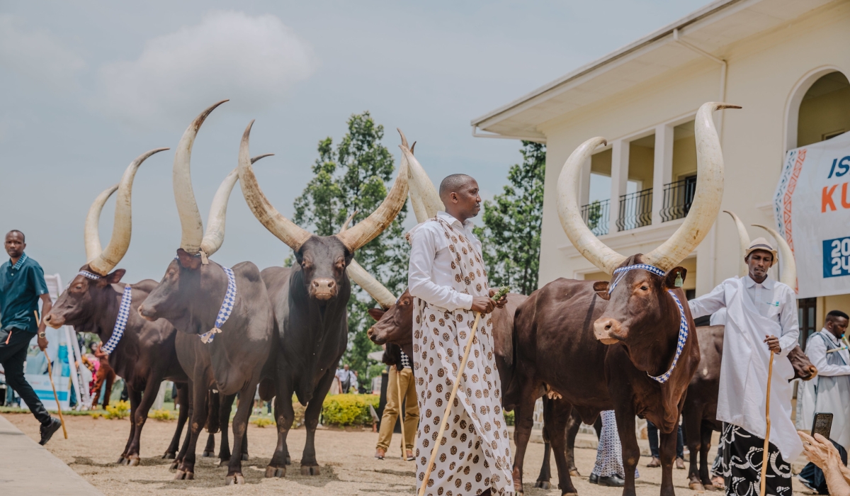 Inyambo Parade Festival that was last held more than sixty years ago, took place in Nyanza on Saturday, March 23. Photo by Willy Mucyo