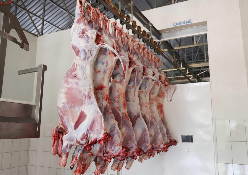 Inside Nyabugogo abattoir in Kigali. According to the statistics Rwanda’s meat exports more than doubled, reaching $22.3 million in the fiscal year 2022-2023. Photo by Sam Ngendahimana