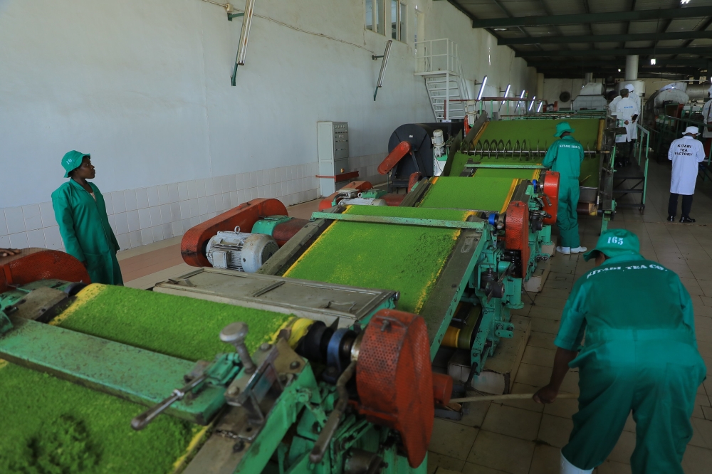 Workers processing tea at Kitabi Tea Factory in Nyamagabe. Photo by Craish Bahizi