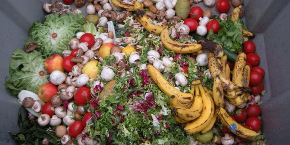 The Food Waste Index Report 2024 by the UN Environment Programme has indicated that, on average, each person wastes 79 kilogrammes of food annually. Internet