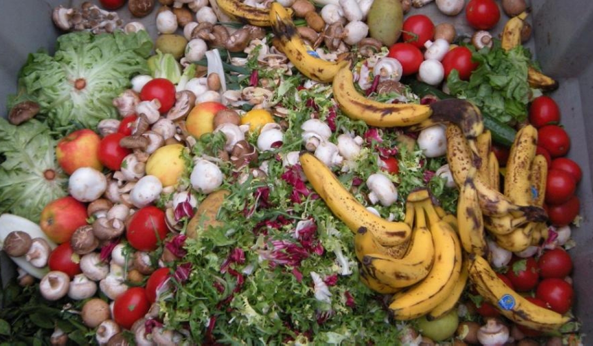 The Food Waste Index Report 2024 by the UN Environment Programme has indicated that, on average, each person wastes 79 kilogrammes of food annually. Internet