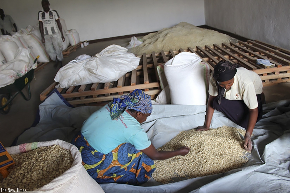 Members of Imboni z’iterambere cooperative sort maize grains for milling in Muko sector, Musanze District. A new law under review could require leaders of cooperatives to declare their assets before assuming their roles. File Photo