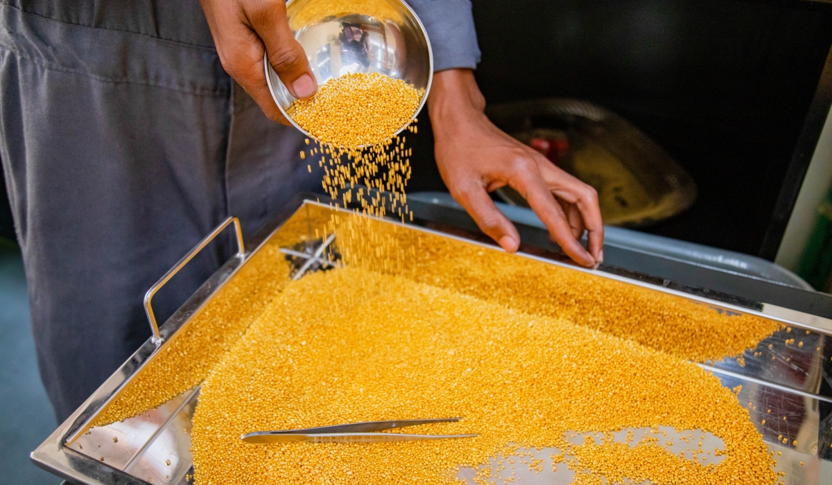 A worker sorts the processed gold at Rwanda&#039;s gold refinery plant in Kigali. Rwanda’s total export receipts reached $3.5 billion (approx. Rwf4.5 trillion), up 17.2 per cent from 2022 revenues. File