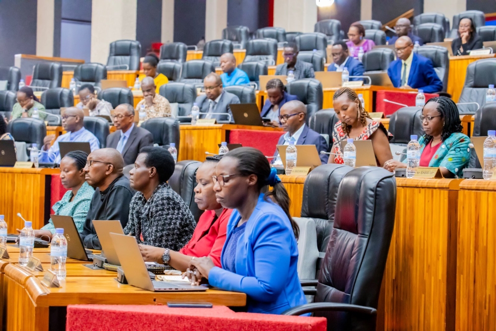 Members of parliament during a plenary sitting. Courtesy