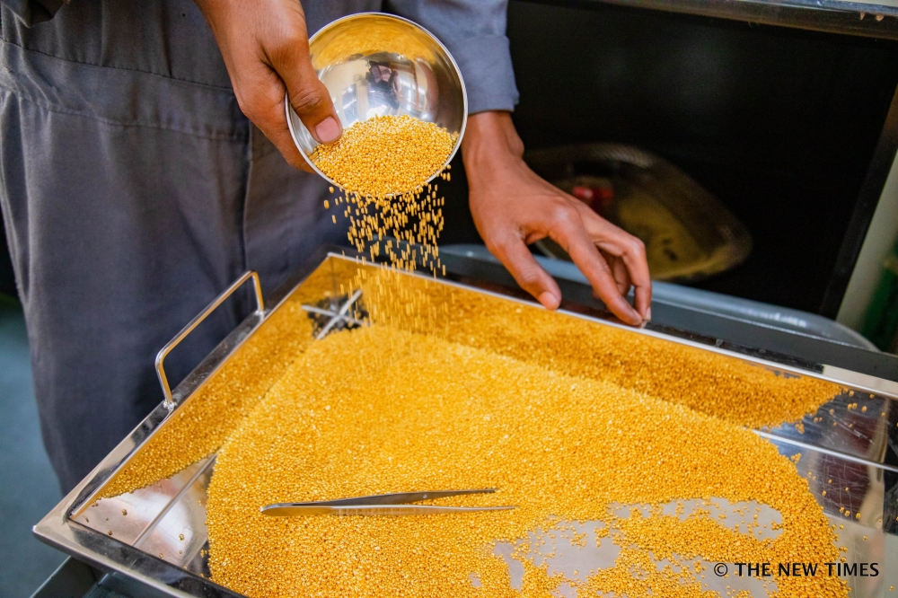 A worker sorts the processed gold at Kigali Gold Refinery at Kigali Special Economic Zone. FILE