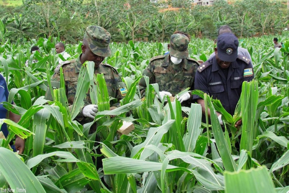 Officers during the launch of the campaign as they joined farmers in the fight against fall army worms to protect farmers from losses caused by the pest. Courtesy