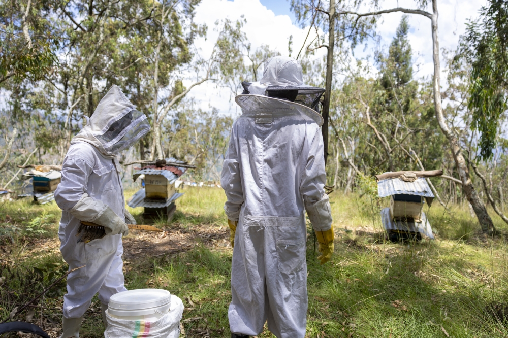 Beekeepers in their farm in Nyamagabe.Rwanda joined the world to mark World Bee Day on May 20. Photos by Olivier Mugwiza